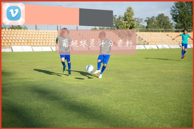 葡超球员评分资料