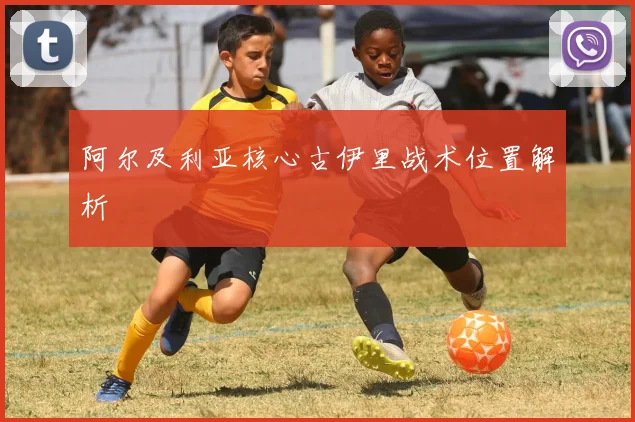 阿尔及利亚核心古伊里战术位置解析