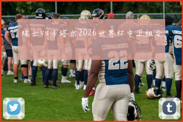 瑞士vs卡塔尔2026世界杯中卫组合